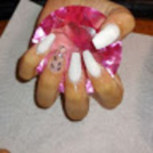 Meet your Posher, Rosa